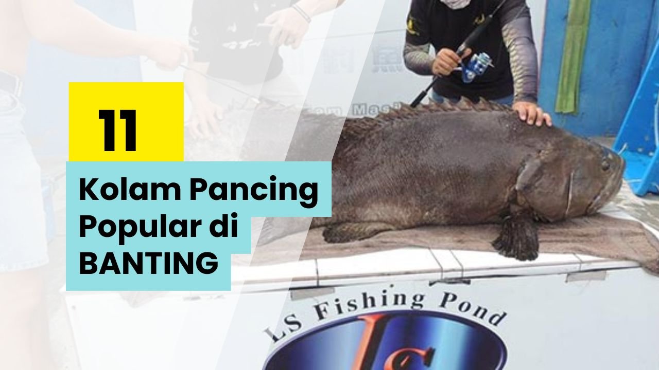 Kolam Pancing Banting