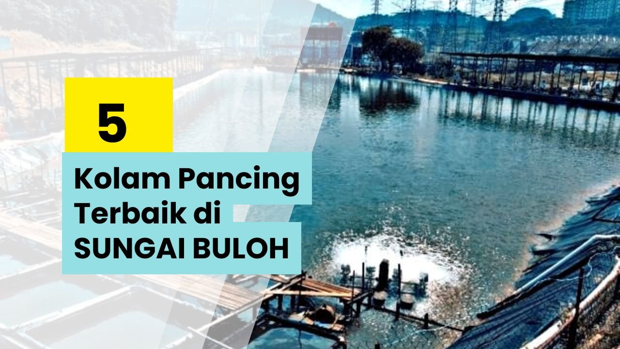 Kolam Pancing Sungai Buloh